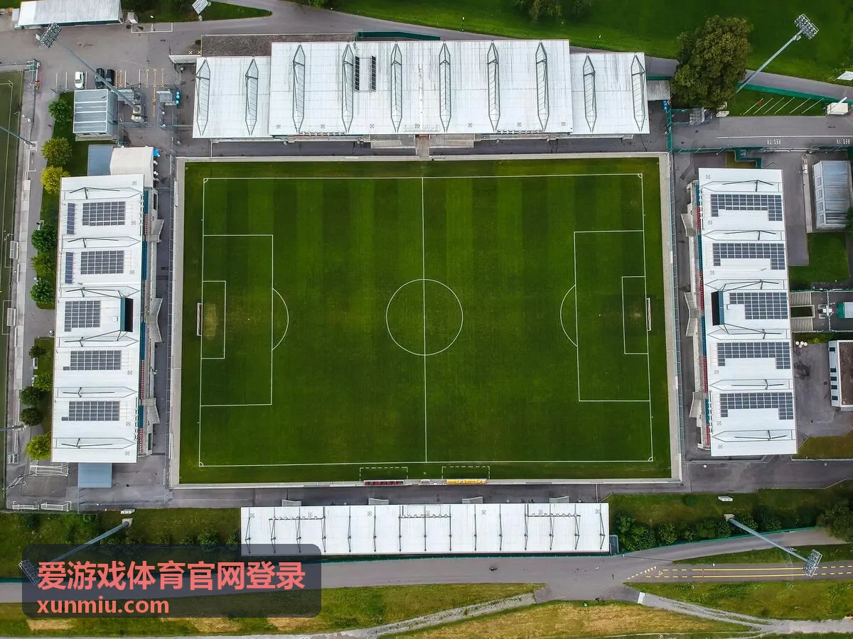 爱游戏体育官网登录短信验证码与二次校验流程配图