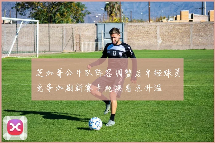 芝加哥公牛队阵容调整后年轻球员竞争加剧新赛季轮换看点升温