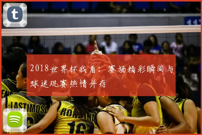2018世界杯我看:赛场精彩瞬间与球迷观赛热情并存