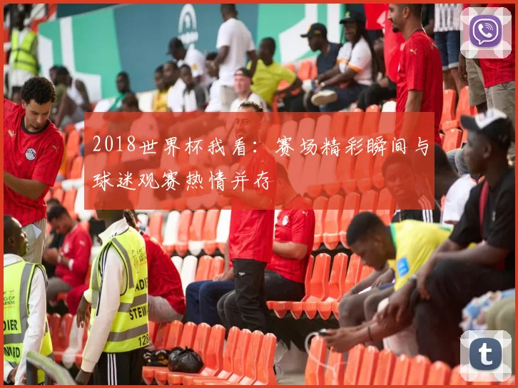 2018世界杯我看:赛场精彩瞬间与球迷观赛热情并存